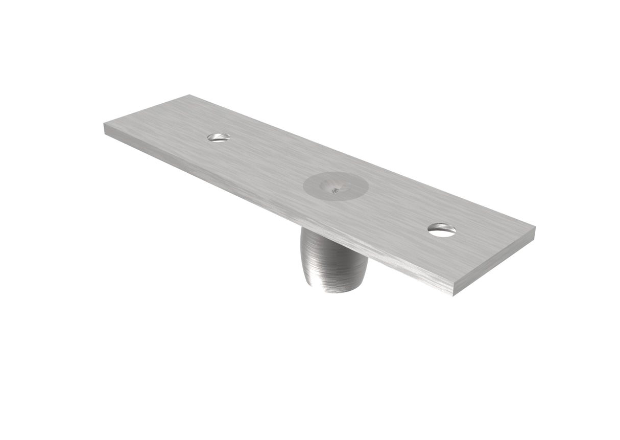 Tŕň na vrchný pánt