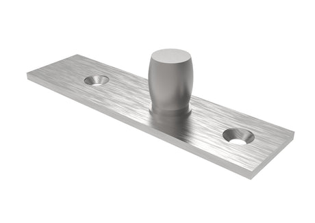 Tŕň na vrchný pánt