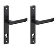 Door handle - door handle with escutcheons, AL profi